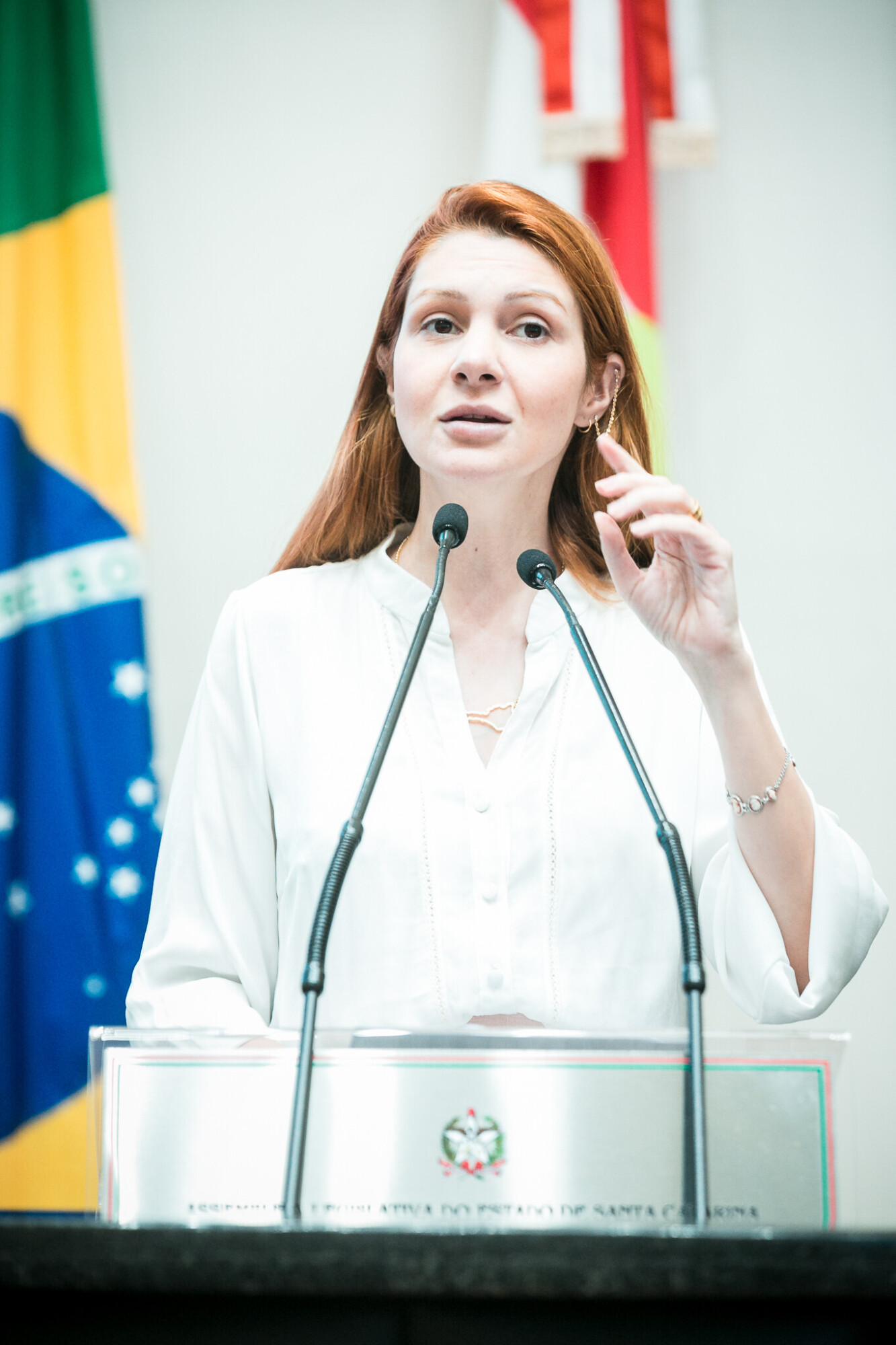 - Deputada Ana Campagnolo (PL)