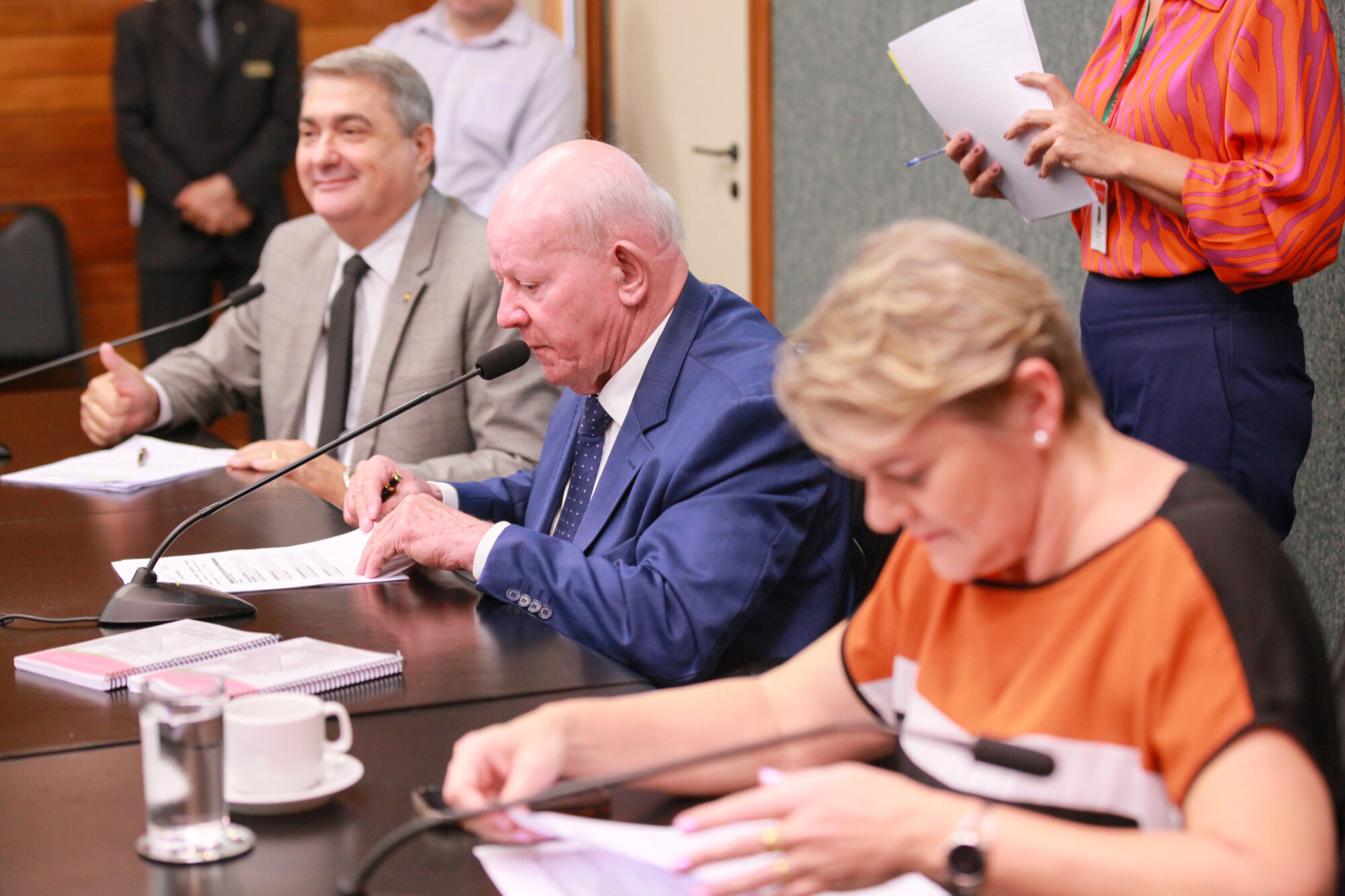 - Deputado Antídio Lunelli (MDB) 	 - Deputado Marcos Vieira (PSDB)

 - Deputada Luciane Carminatti (PT)