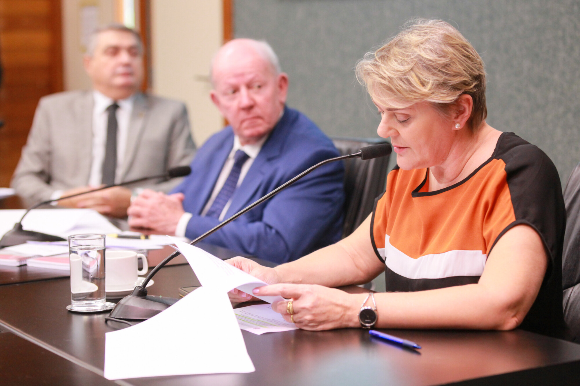 - Deputado Antídio Lunelli (MDB) 	 - Deputado Marcos Vieira (PSDB)

 - Deputada Luciane Carminatti (PT)