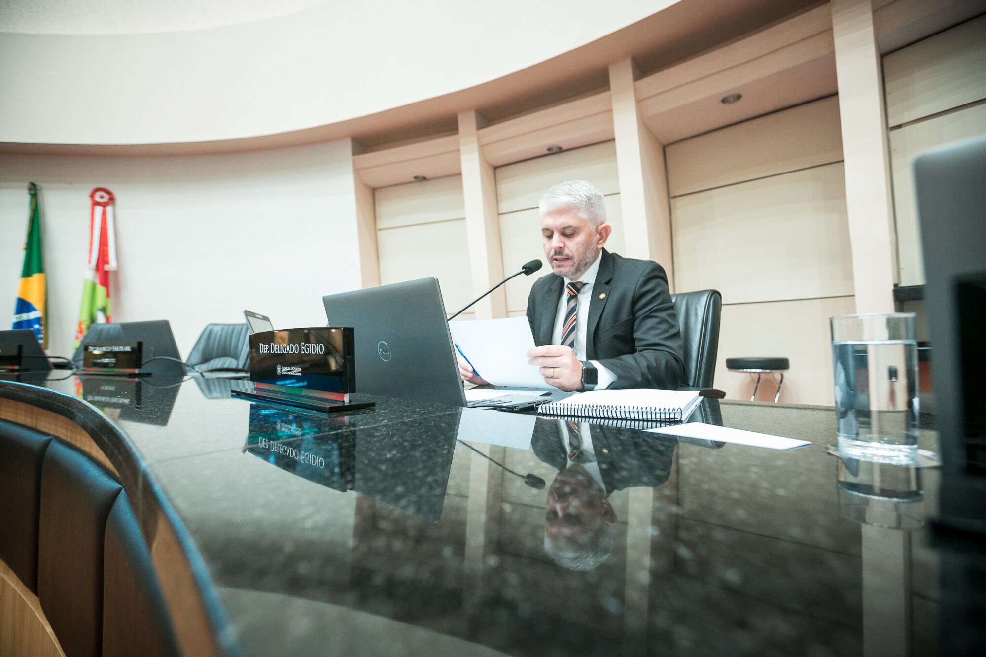 - Deputado Delegado Egídio Ferrari (PRD)