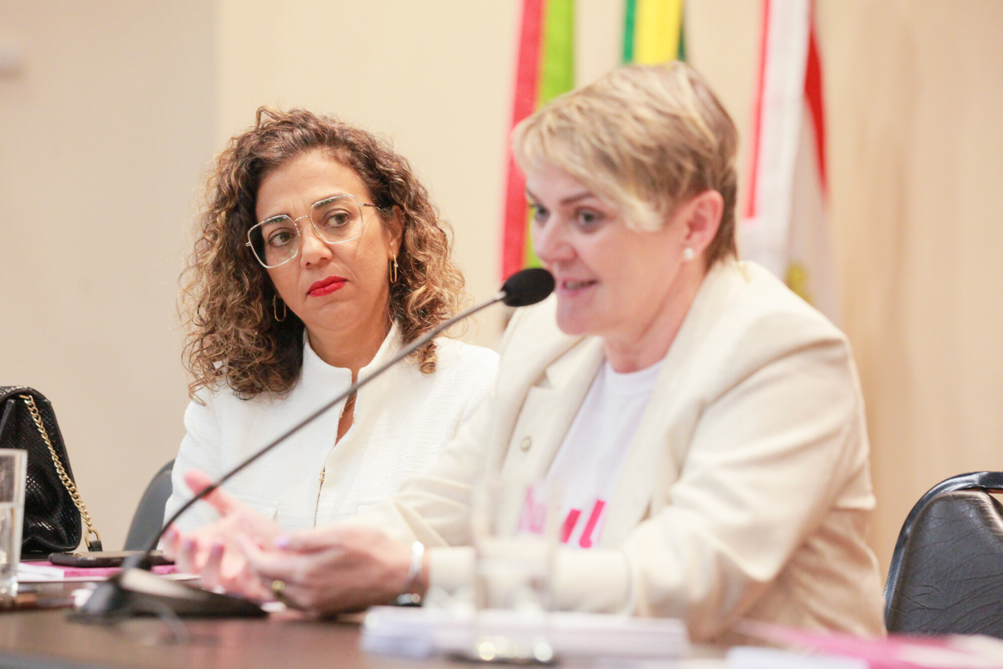 - Deputada Luciane Carminatti (PT)