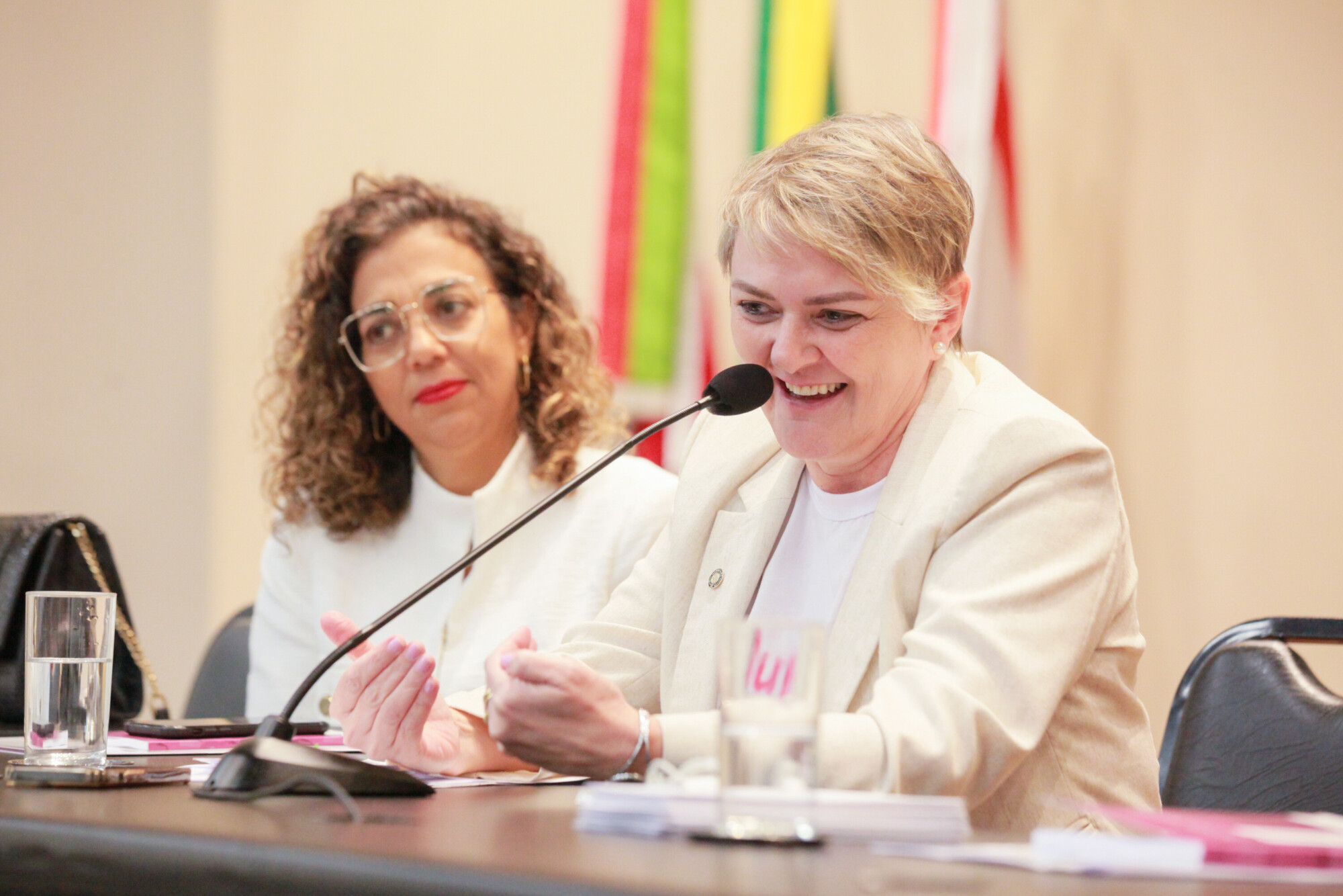 - Deputada Luciane Carminatti (PT)