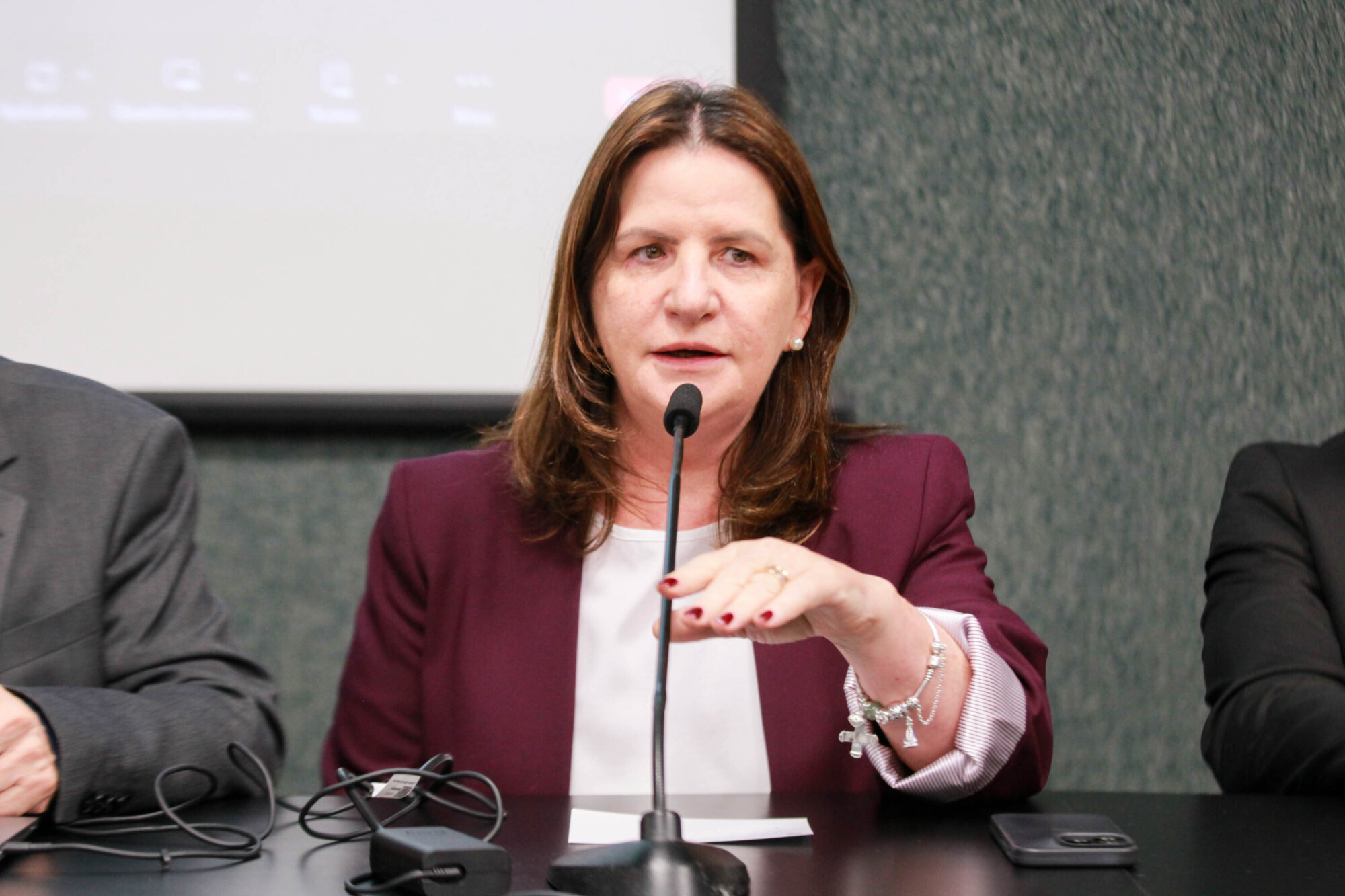 Carmen Zanotto- Secretária  de Saúde SC