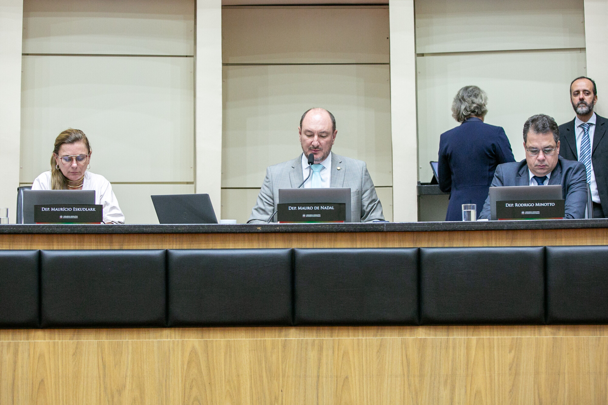 - Deputada Paulinha (Podemos) 	
- Deputado Mauro de Nadal (MDB) 	
 - Deputado Rodrigo Minotto (PDT)