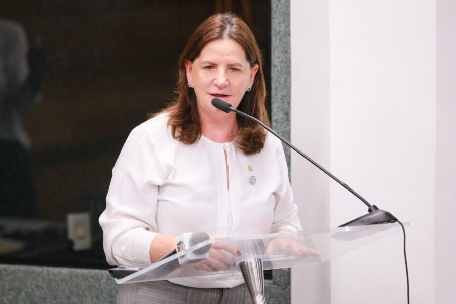 Secretária de Estado da Saúde, Carmen Zanotto