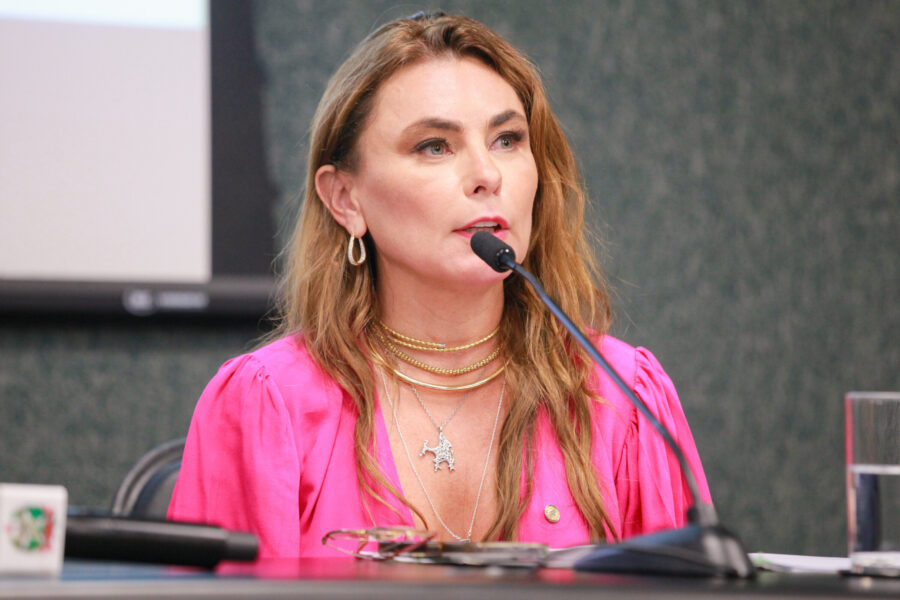 Deputada Paulinha