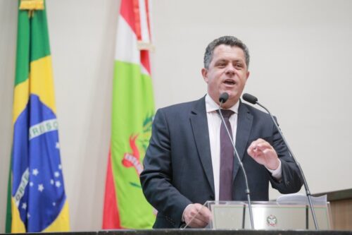 Naatz apresenta projeto para funcionamento ininterrupto das Delegacias da Mulher