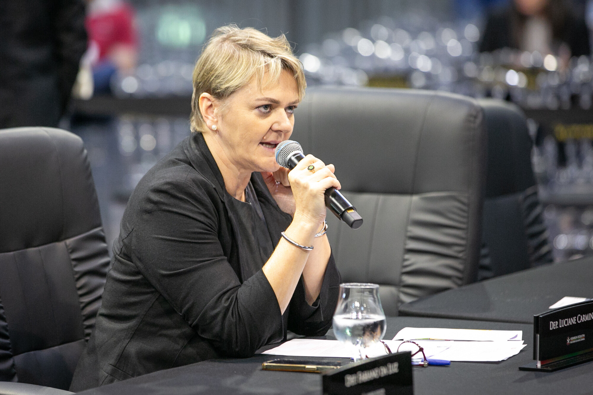 - Deputada Luciane Carminatti (PT)