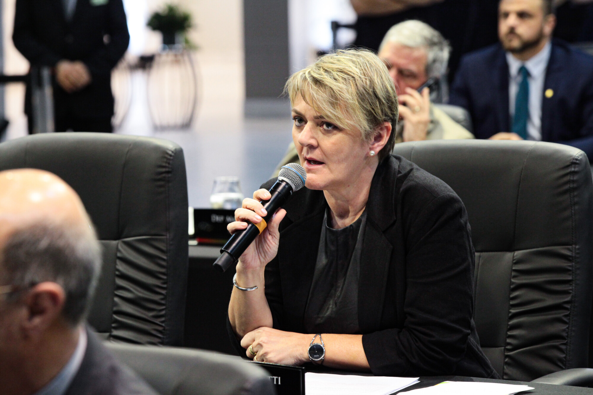 - Deputada Luciane Carminatti (PT)