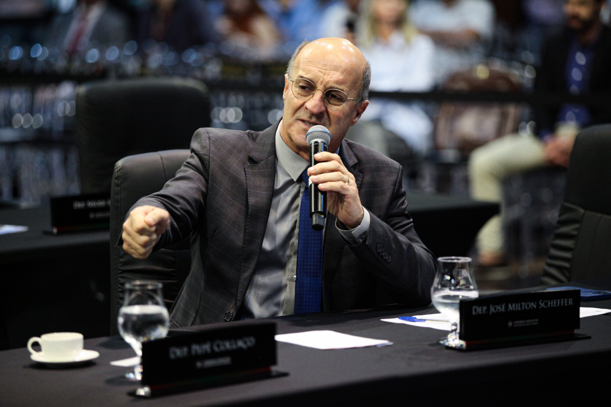 - Deputado José Milton Scheffer (PP)