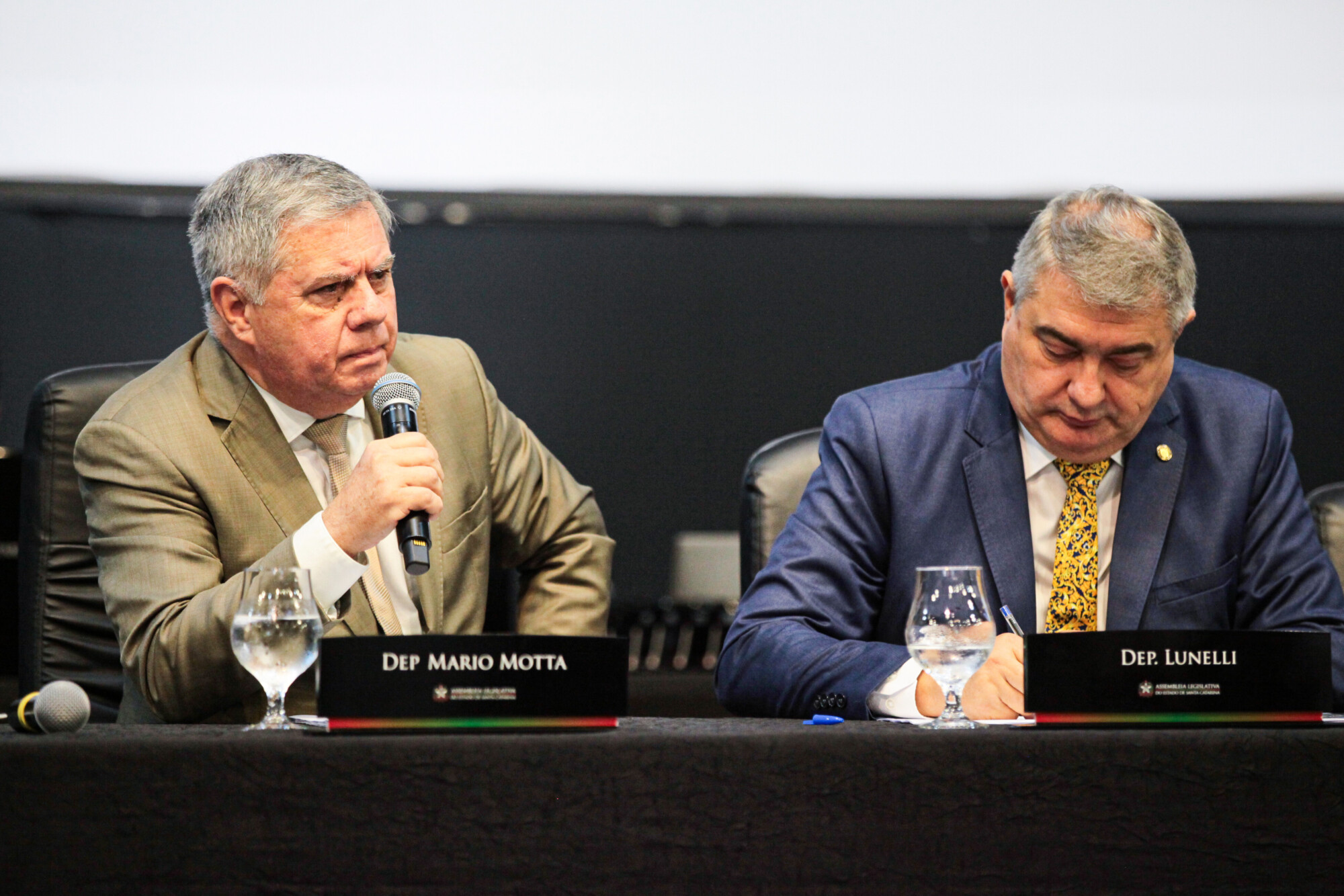 - Deputado Mário Motta (PSD)