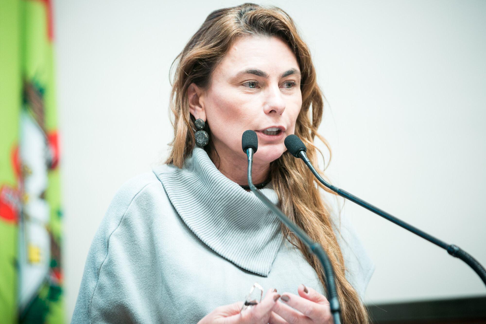 - Deputada Paulinha (Podemos)