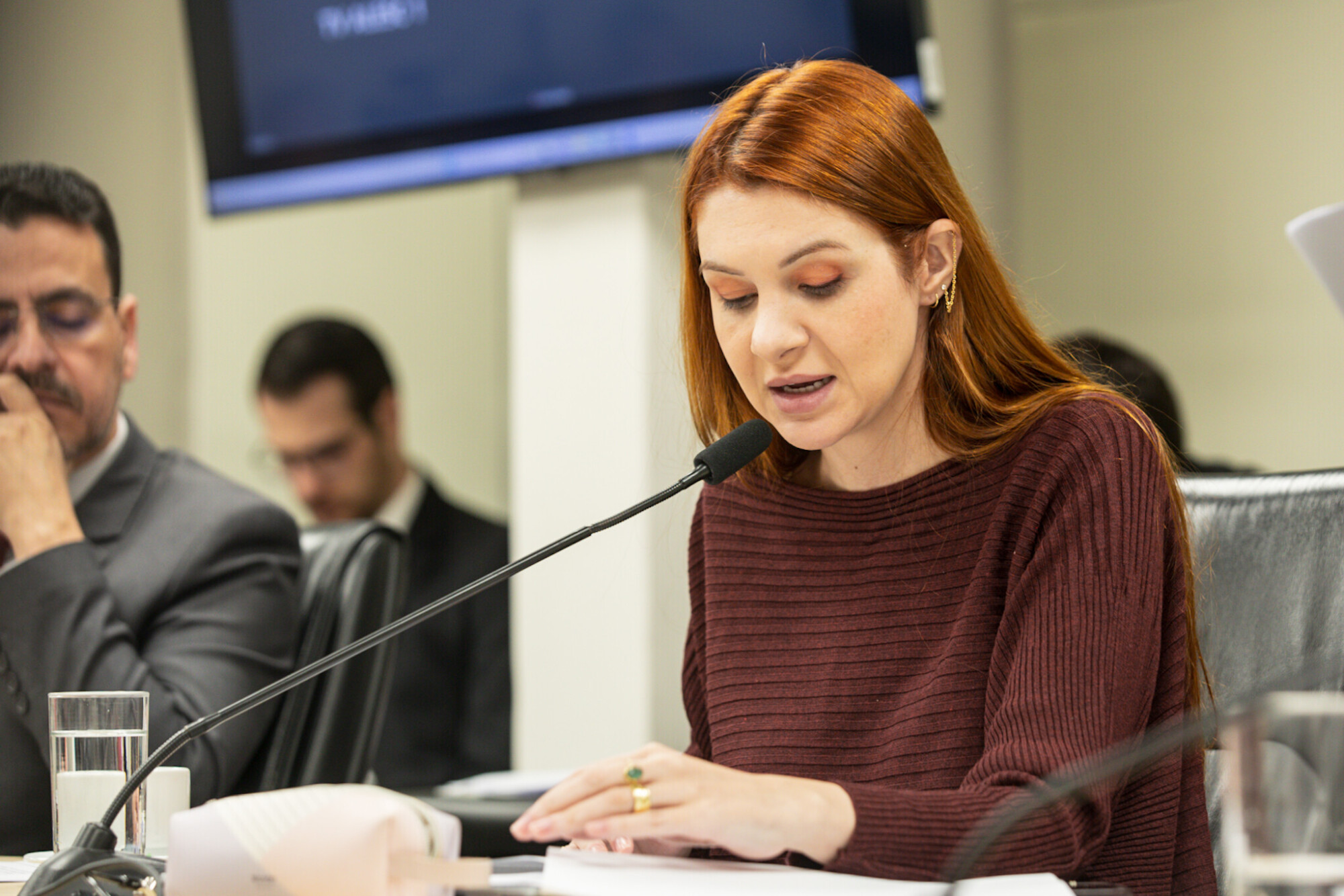 - Deputada Ana Caroline Campagnolo (PL)