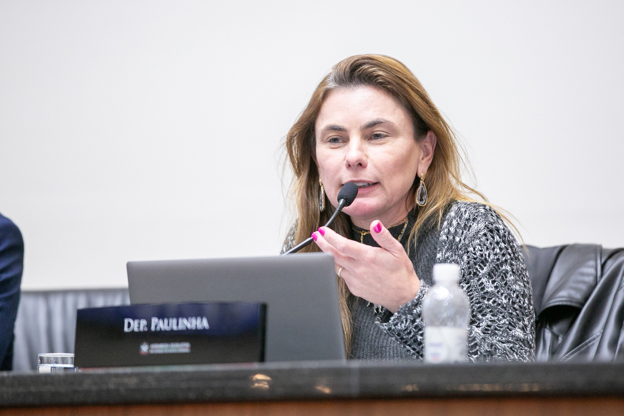 - Deputada Paulinha (Podemos)