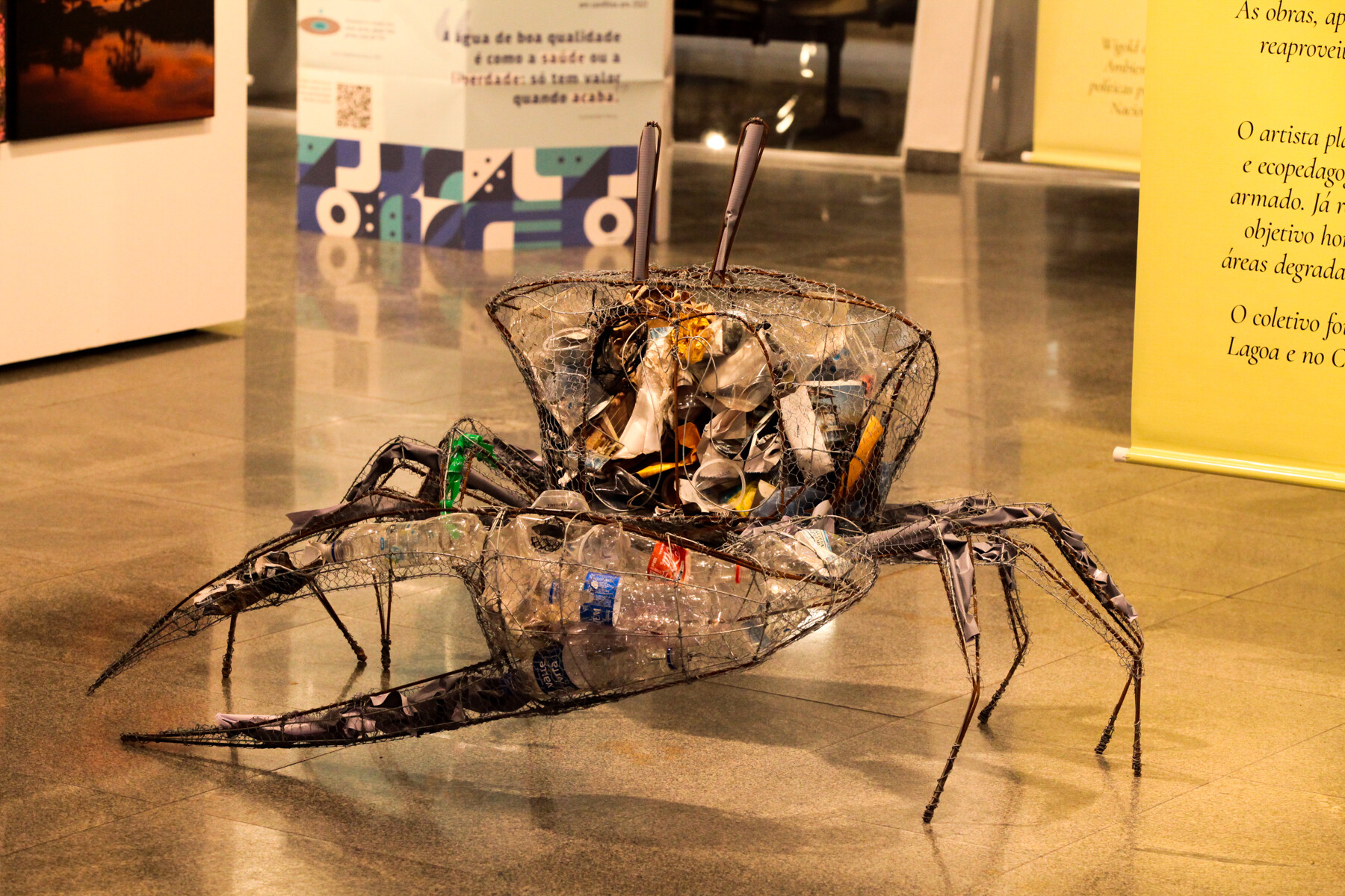 Mostra “mês do Ambiente”.