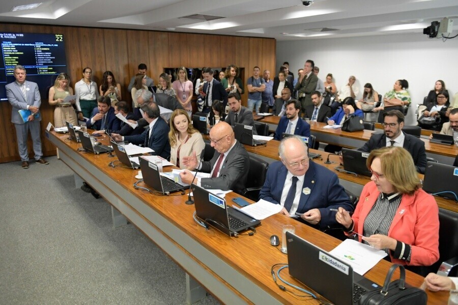 Deputado Dr Vicente em reunião de comissão no Senado