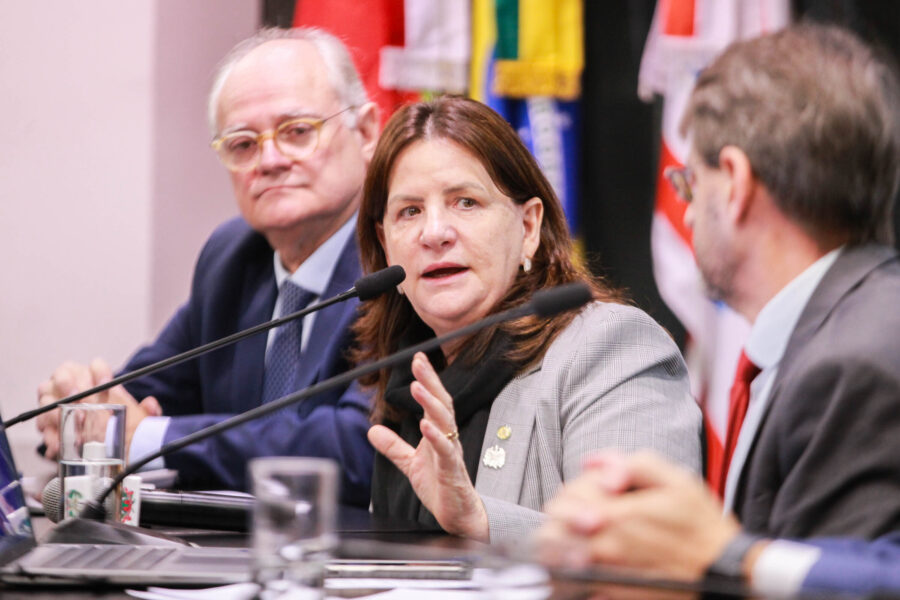 Secretária de Estado da Saúde, Carmen Zanotto.