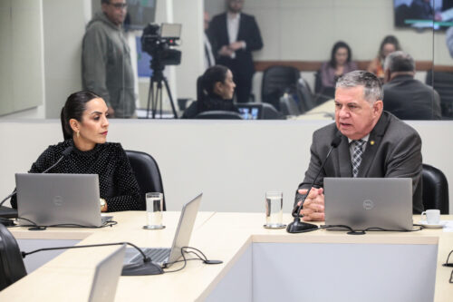 Padronização de legislação foi tema de reunião da Comissão de Defesa dos Direitos do Consumidor