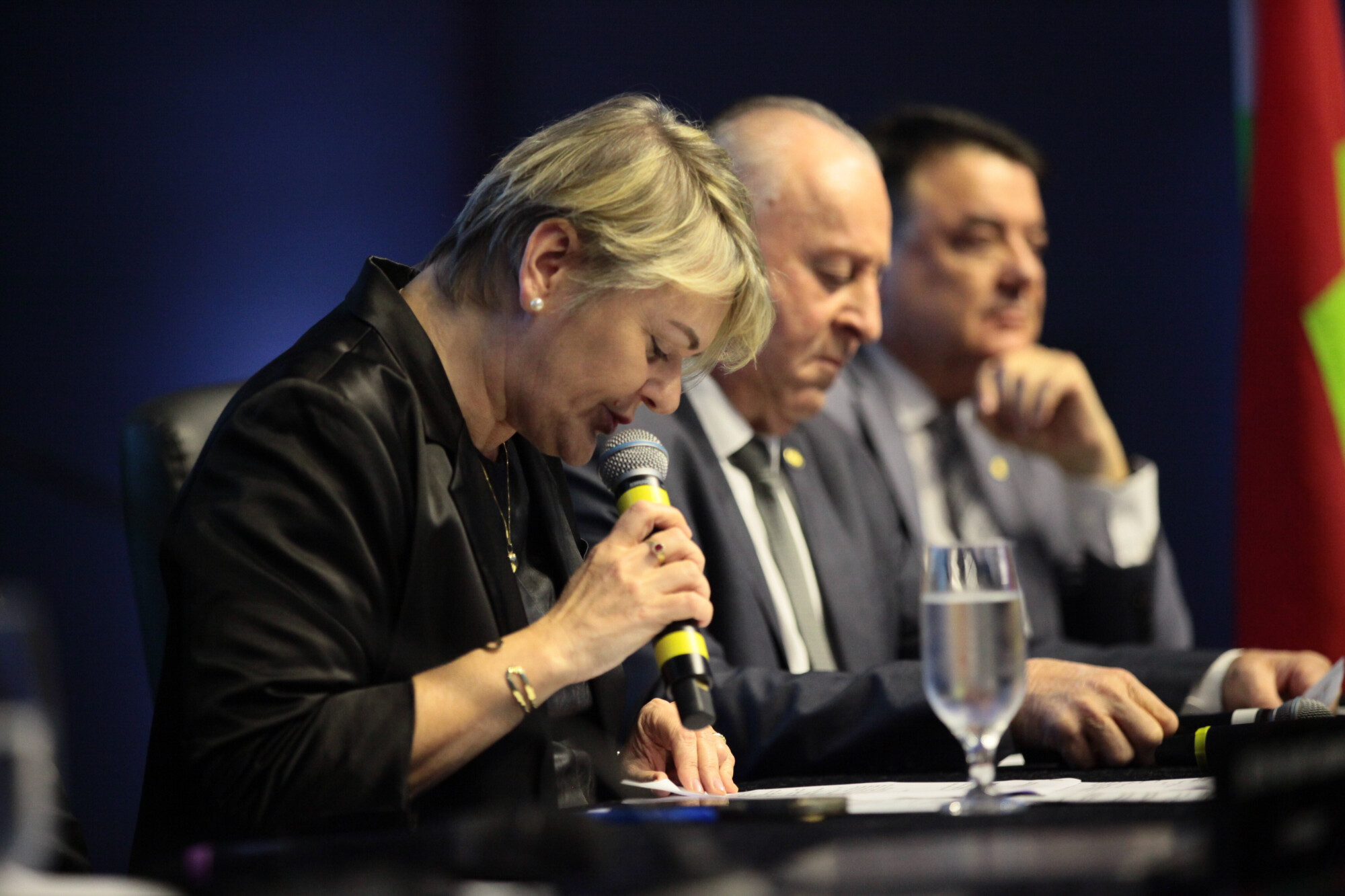 - Deputada Luciane Carminatti (PT)