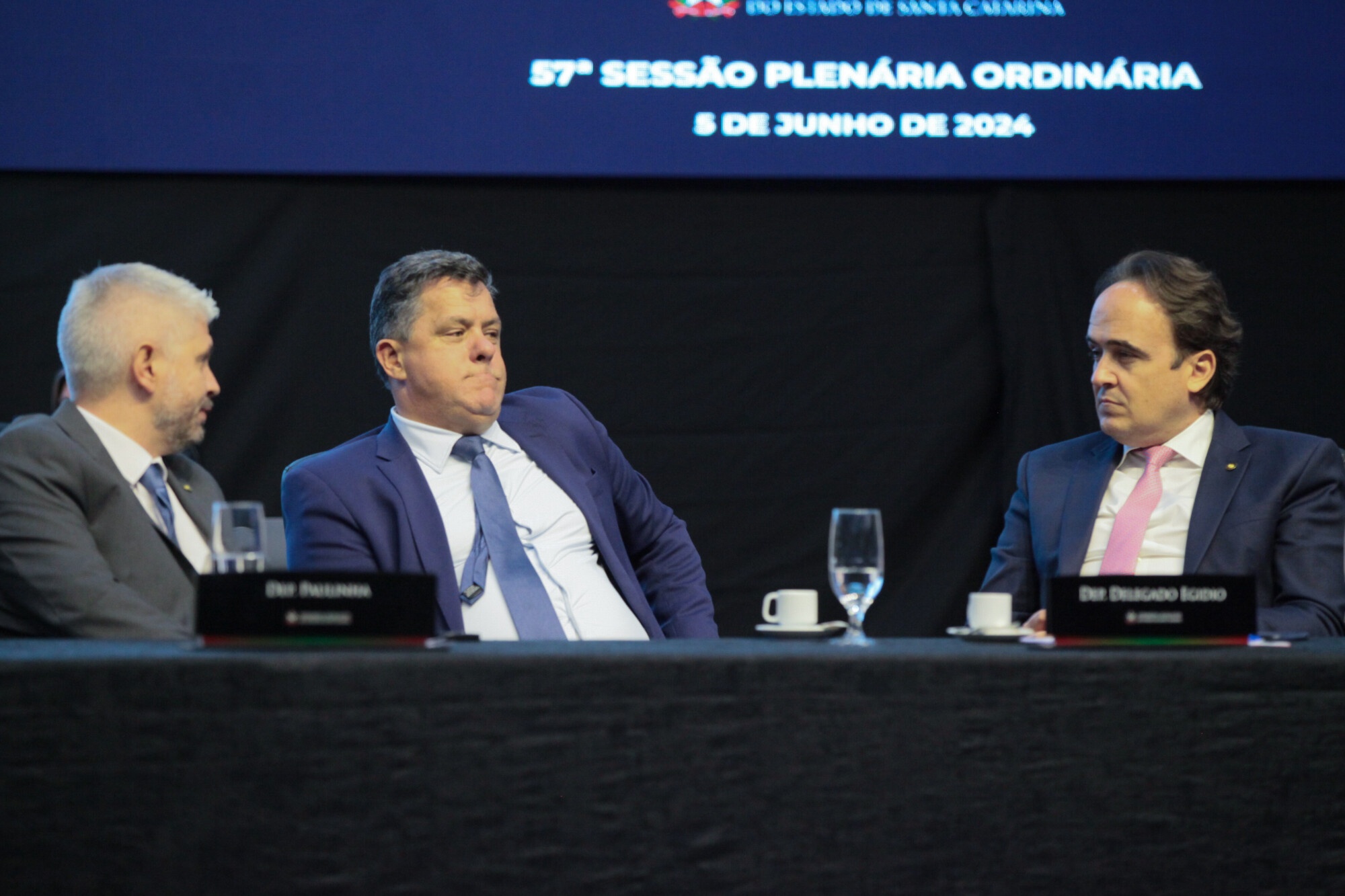 - Deputado Delegado Egídio Ferrari (PL)
 - Deputado Ivan Naatz (PL) 	
 - Deputado Carlos Humberto (PL)