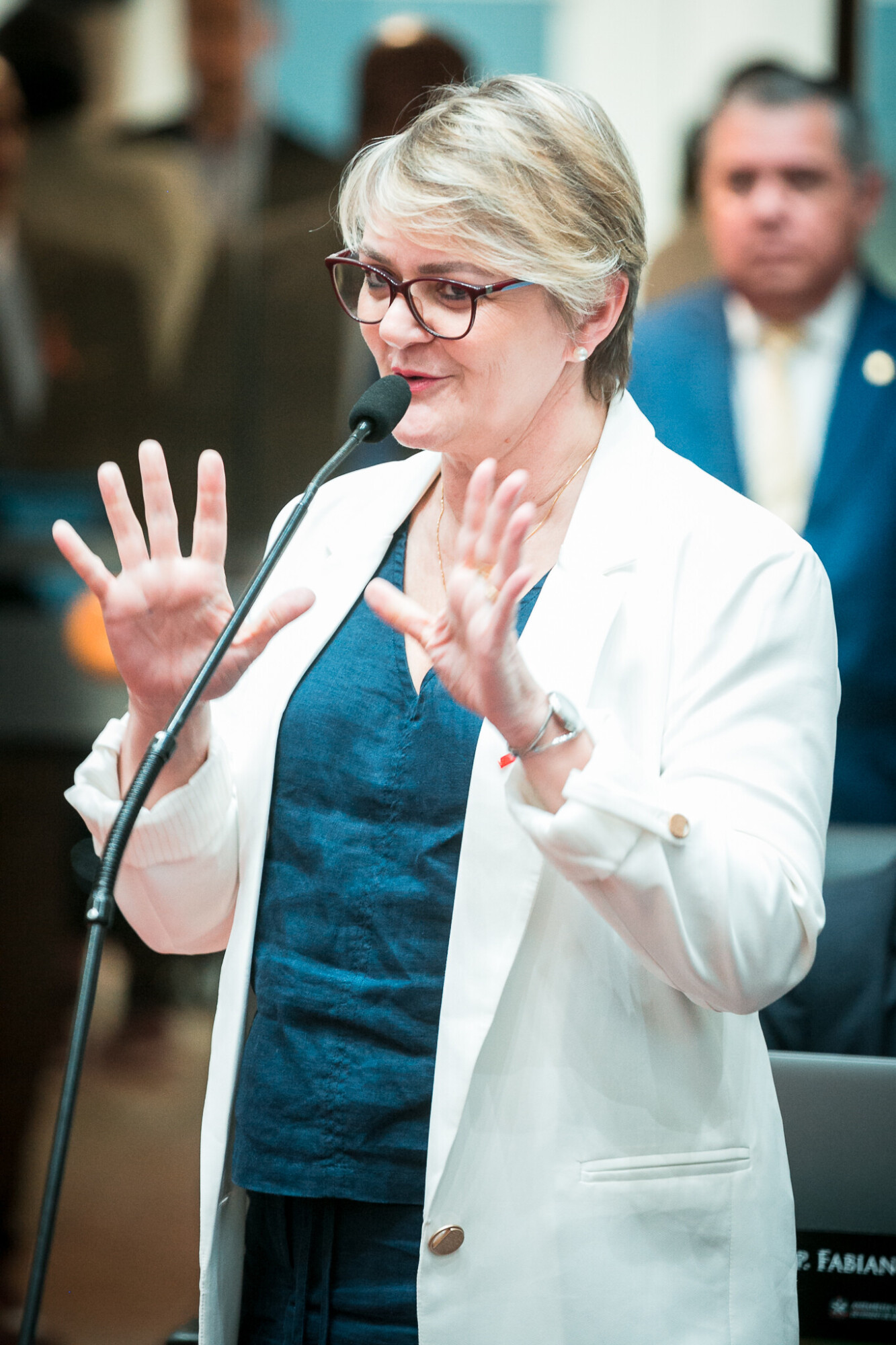 - Deputada Luciane Carminatti (PT)
