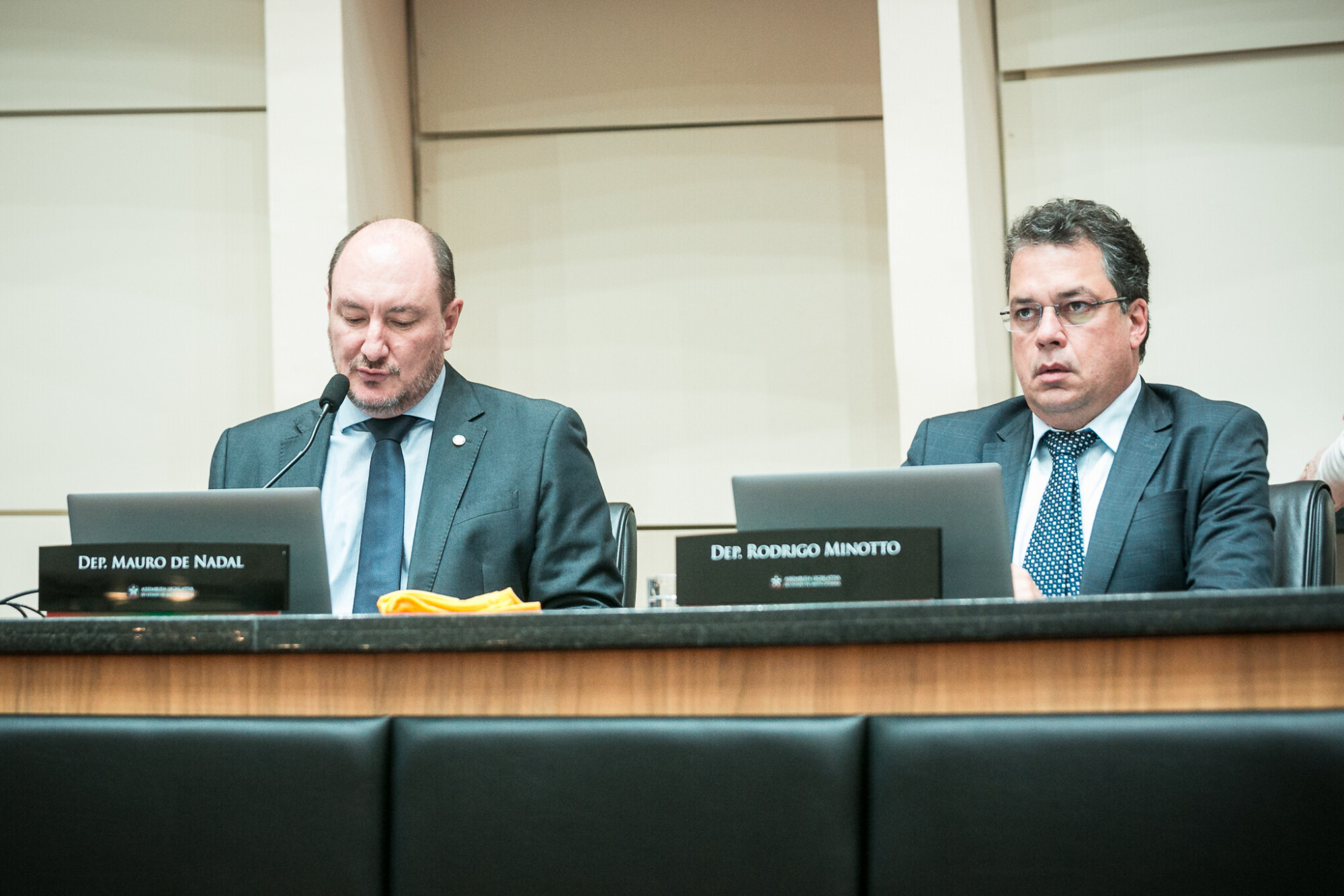- Deputado Mauro de Nadal (MDB) 	
 - Deputado Rodrigo Minotto (PDT)