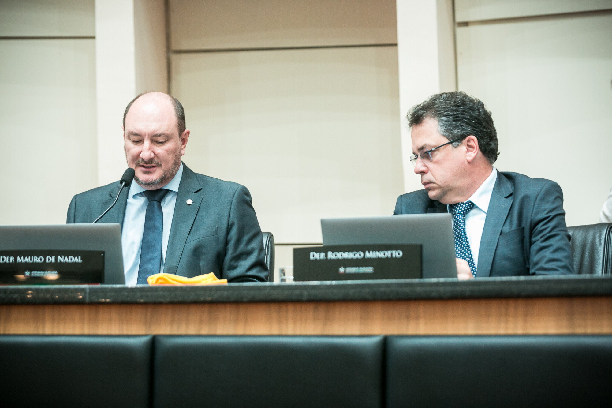 - Deputado Mauro de Nadal (MDB) 	
 - Deputado Rodrigo Minotto (PDT)