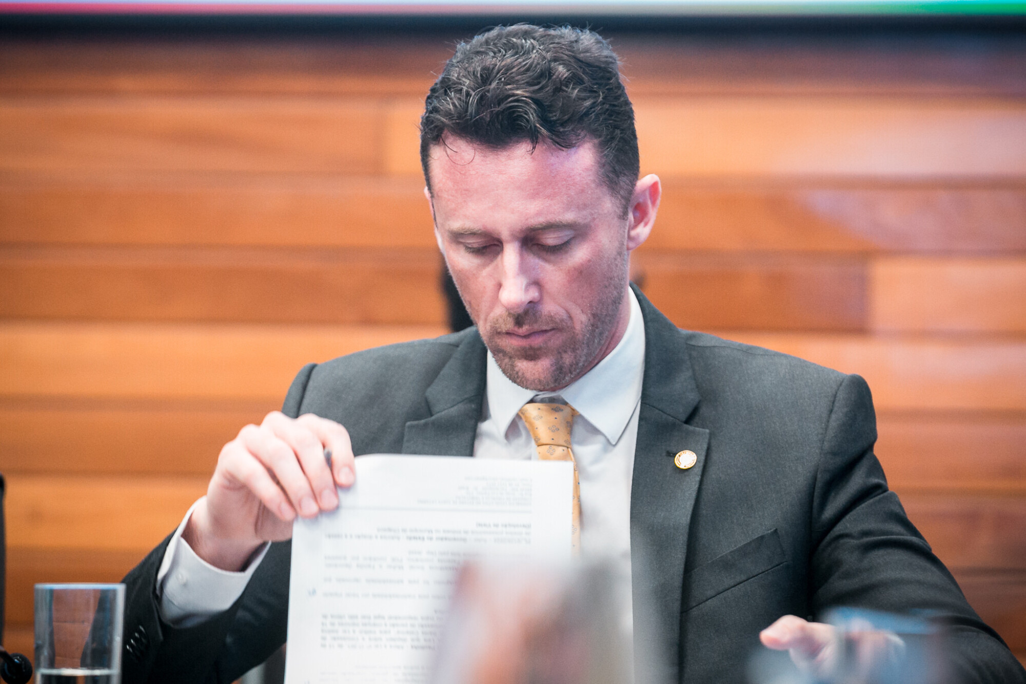 - Deputado Fernando Krelling (MDB)