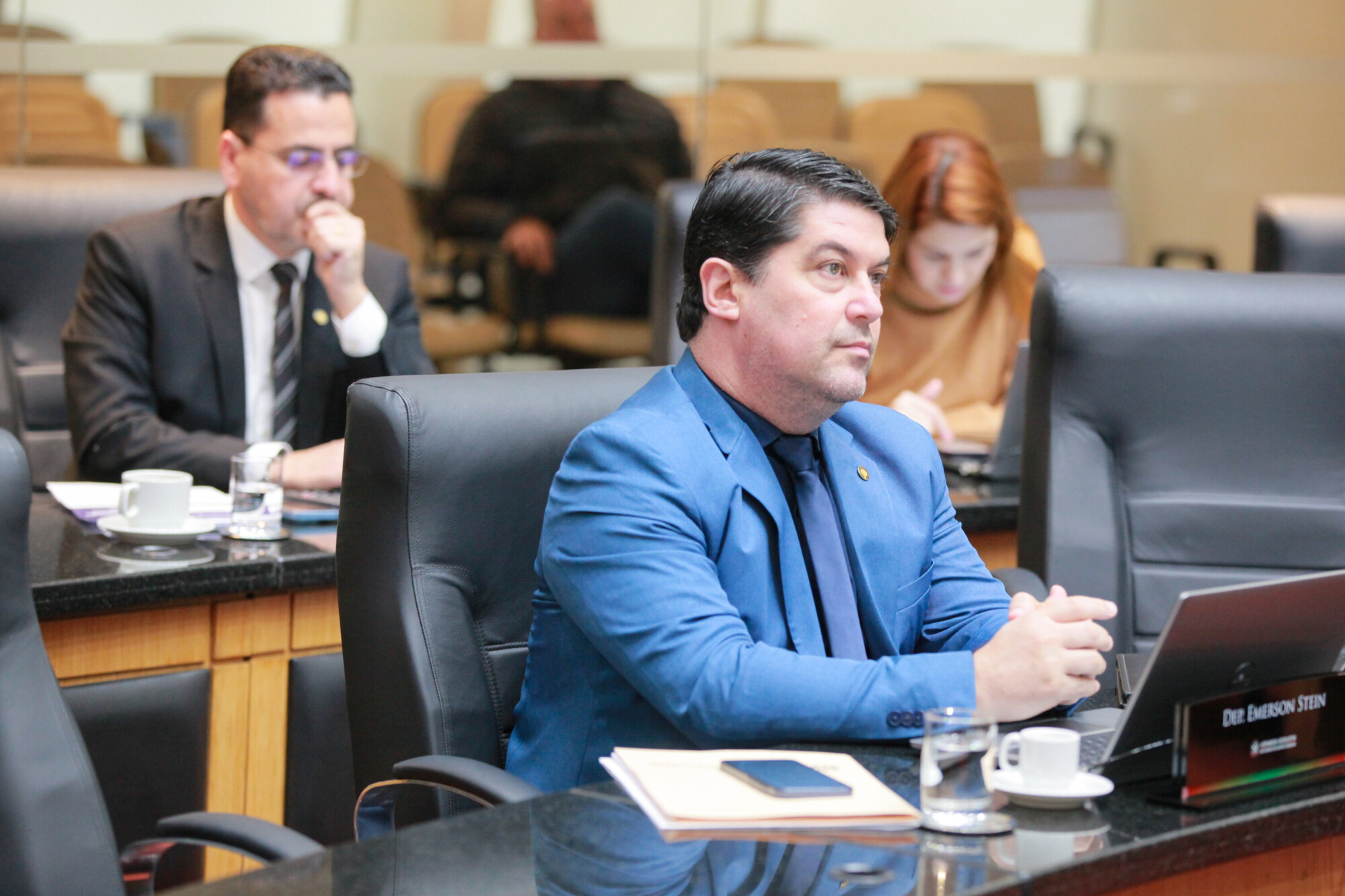 - Deputado Emerson Stein (MDB)