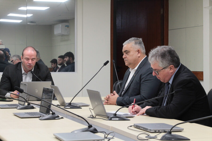 Membros da Comissão de Segurança Pública, em reunião na manhã desta terça-feira (11)
