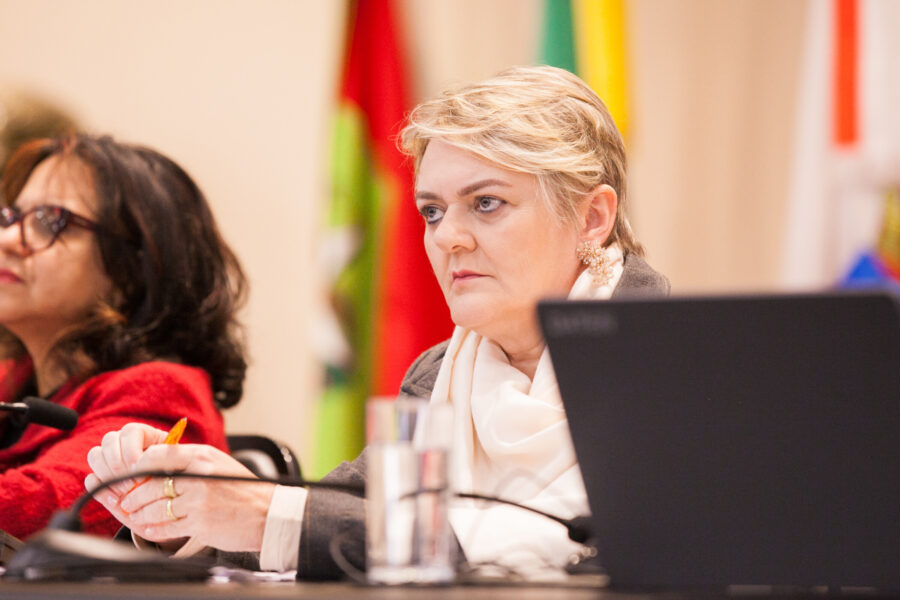 Deputada Luciane Carminatti.
