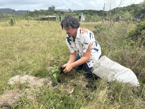 Em Joinville, deputados começarão a plantar árvores para compensar emissões de carbono