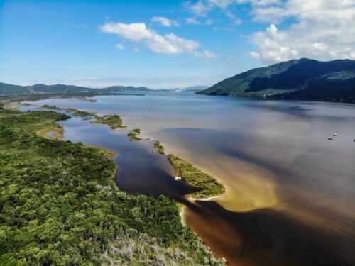 Cinema ambiental itinerante faz parte da programação do mês do Meio Ambiente