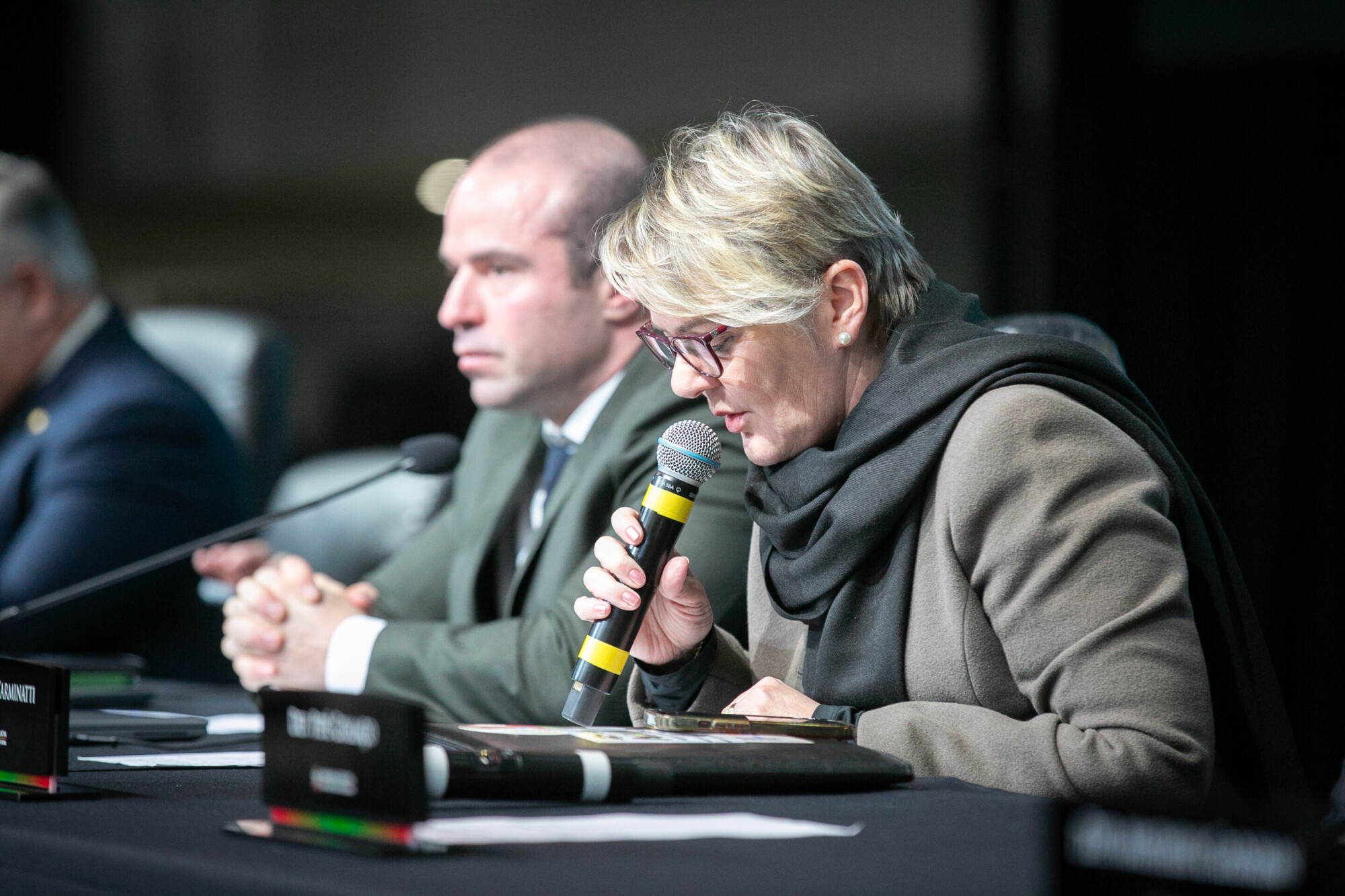- Deputada Luciane Carminatti (PT)