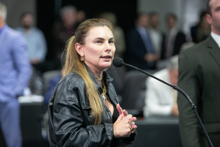 Deputada Paulinha