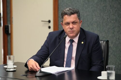 Naatz trata da devolução de recursos federais em Brasília