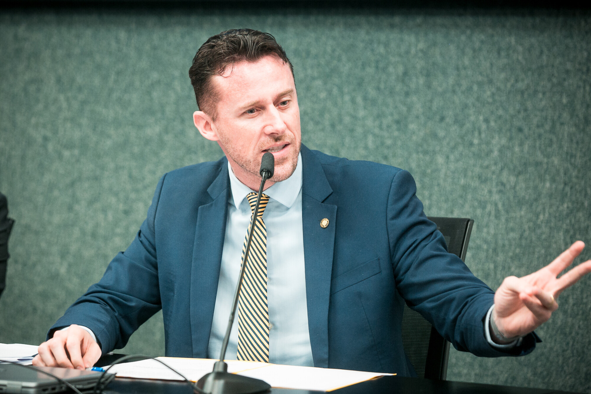 - Deputado Fernando Krelling (MDB)