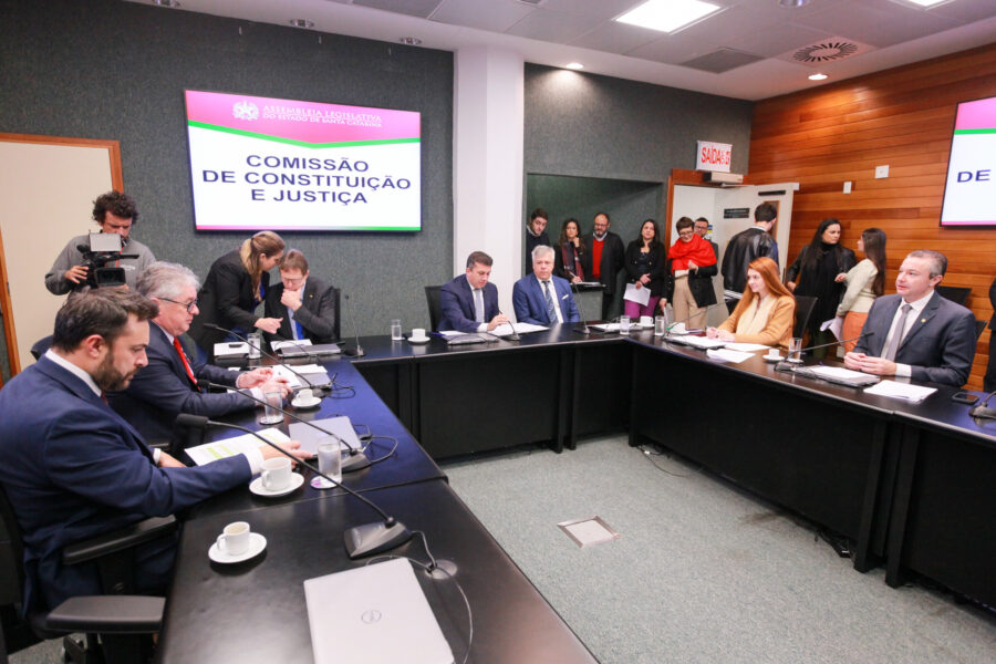 A CCJ é presidida pelo deputado Camilo Martins.