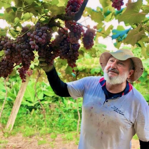 Padre recebe com “grande alegria” plano safra que fortalece agricultura familiar
