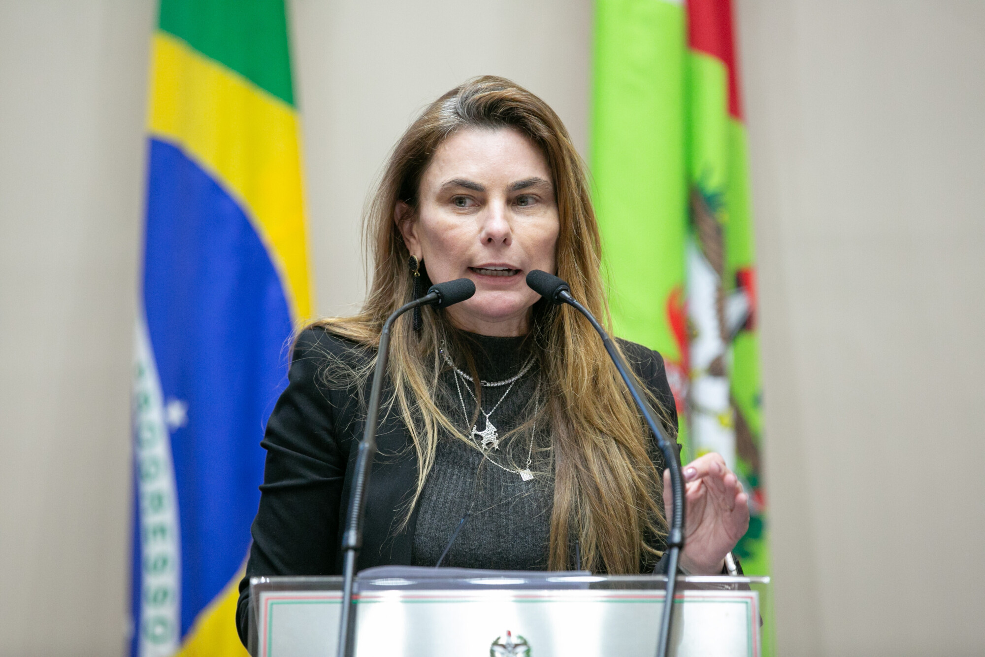 - Deputada Paulinha (Podemos)