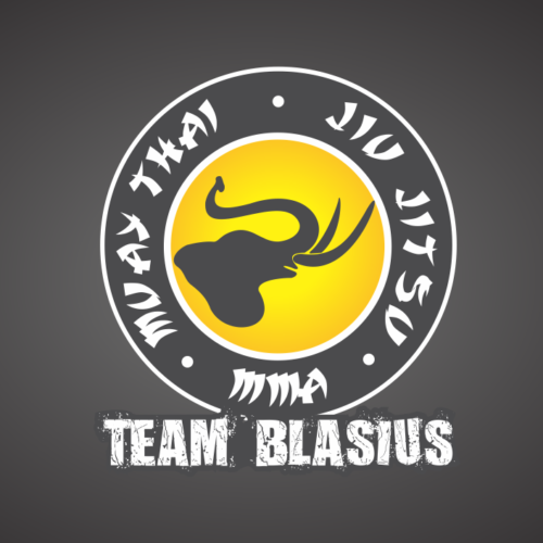 Transformado em lei o projeto de Weber sobre Associação Cultural de Artes Marciais Team Blasius