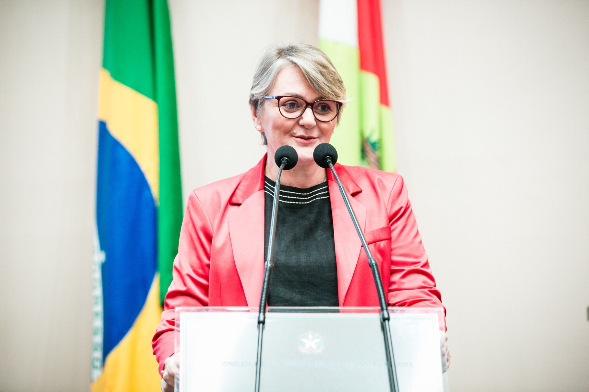 - Deputada Luciane Carminatti (PT)