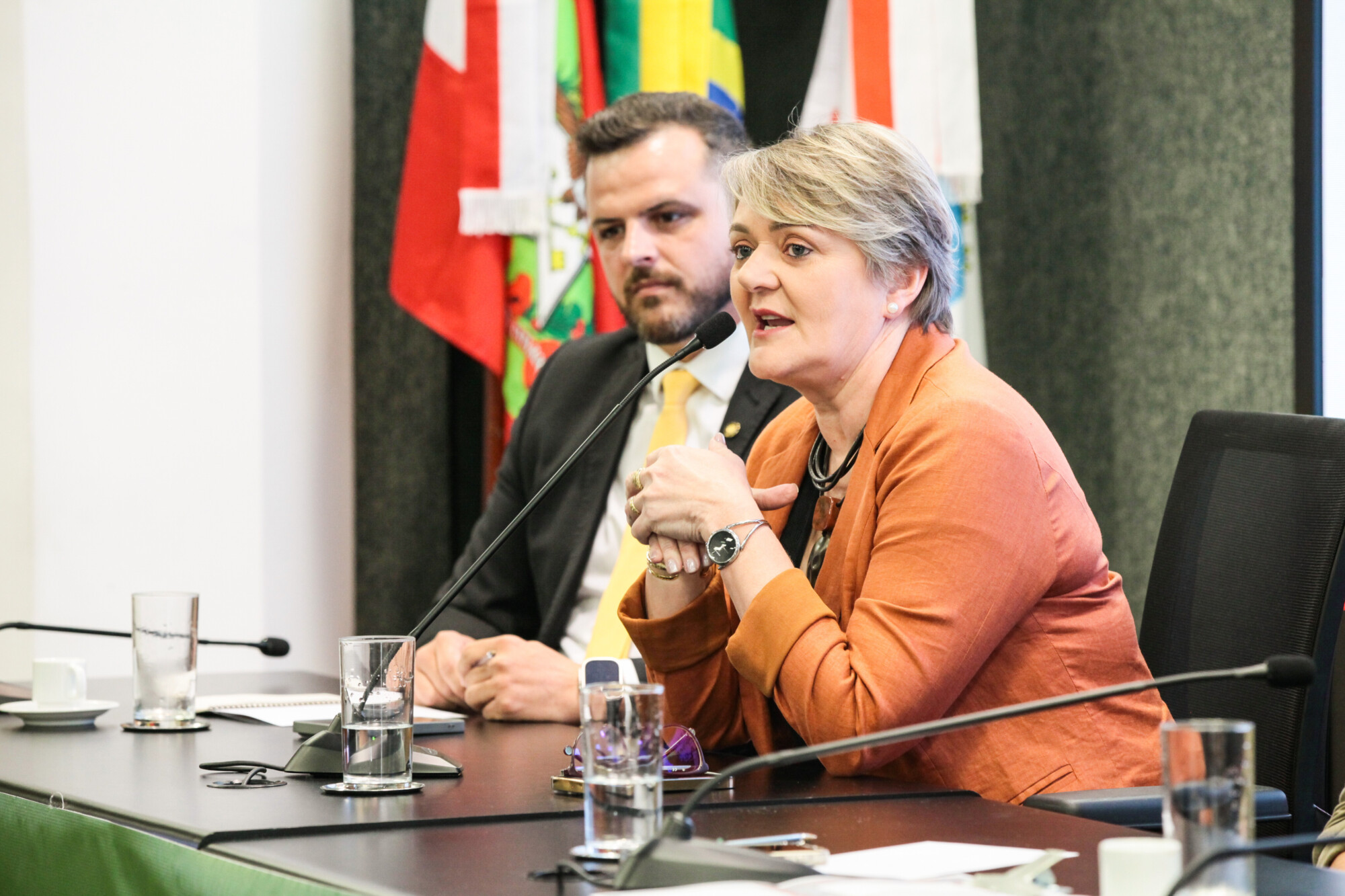 - Deputada Luciane Carminatti (PT)