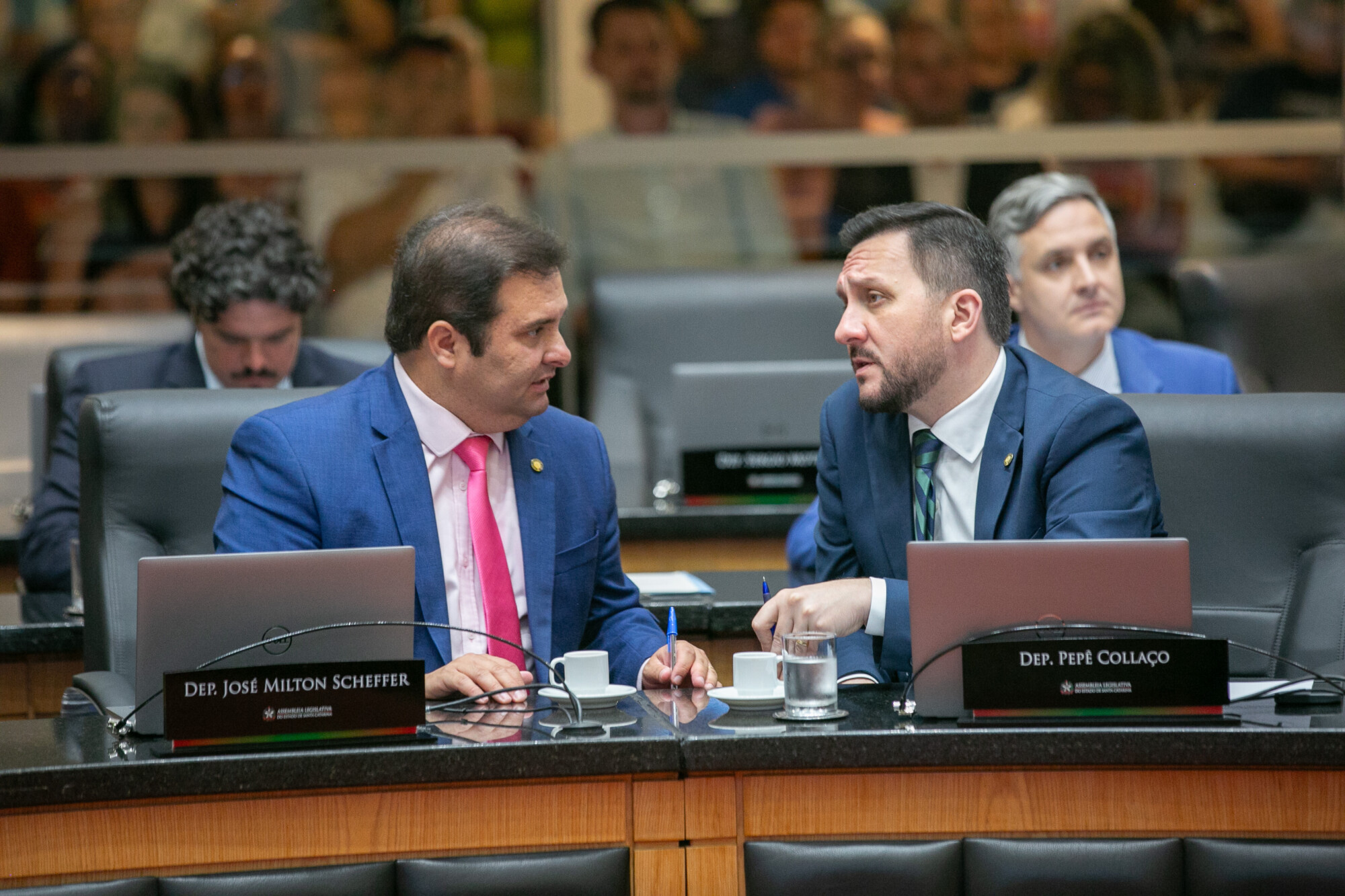 - Deputado Sérgio Guimarães(União) 
 - Deputado Pepê Collaço (PP)