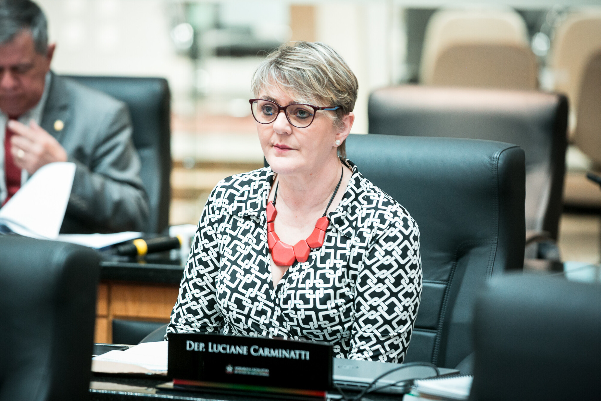 - Deputada Luciane Carminatti (PT)