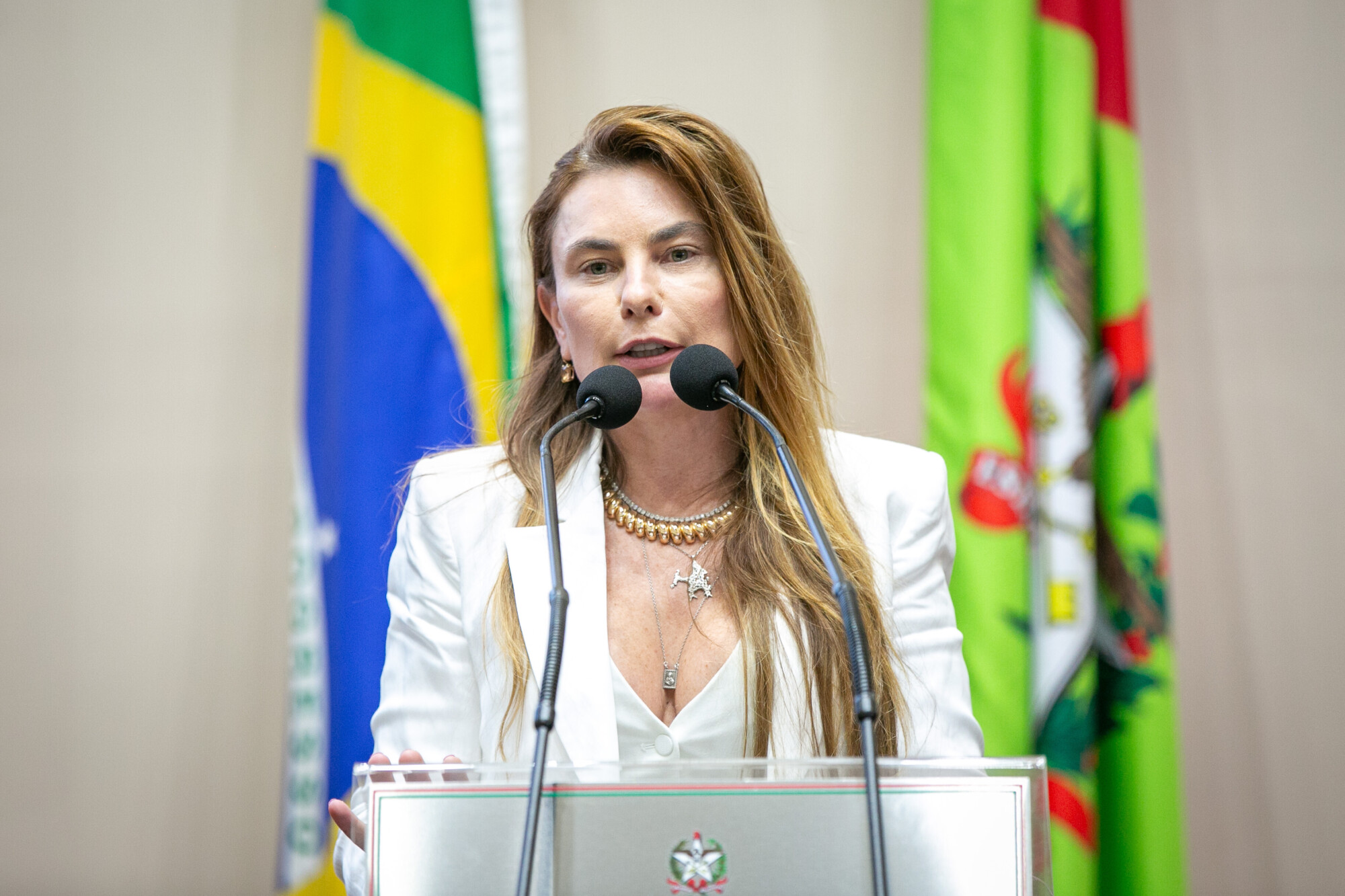 - Deputada Paulinha (Podemos)