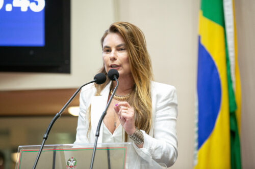 Paulinha destaca avanços do Promobis, que inclui túnel imerso entre Itajaí e Navegantes