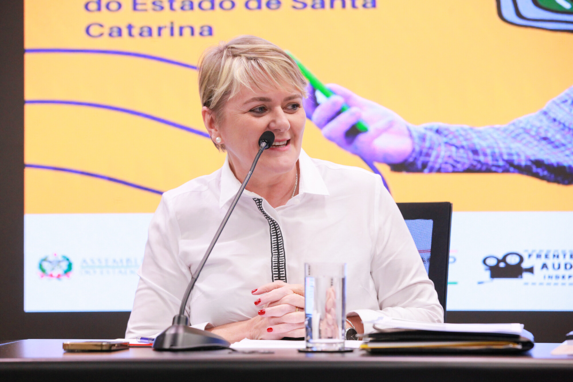 - Deputada Luciane Carminatti (PT)