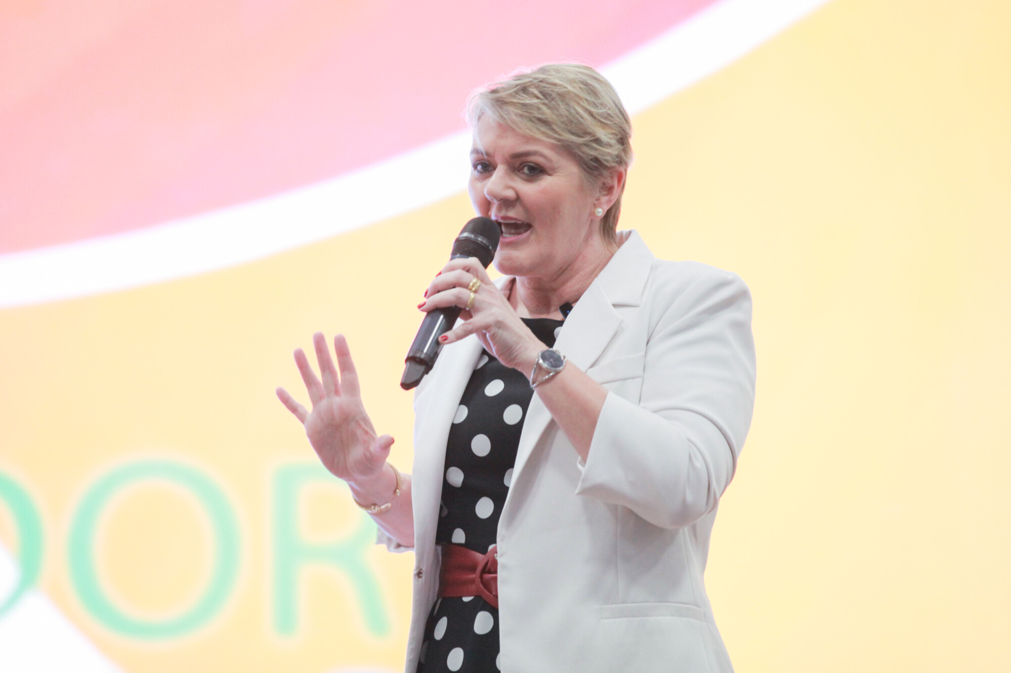 - Deputada Luciane Carminatti (PT)