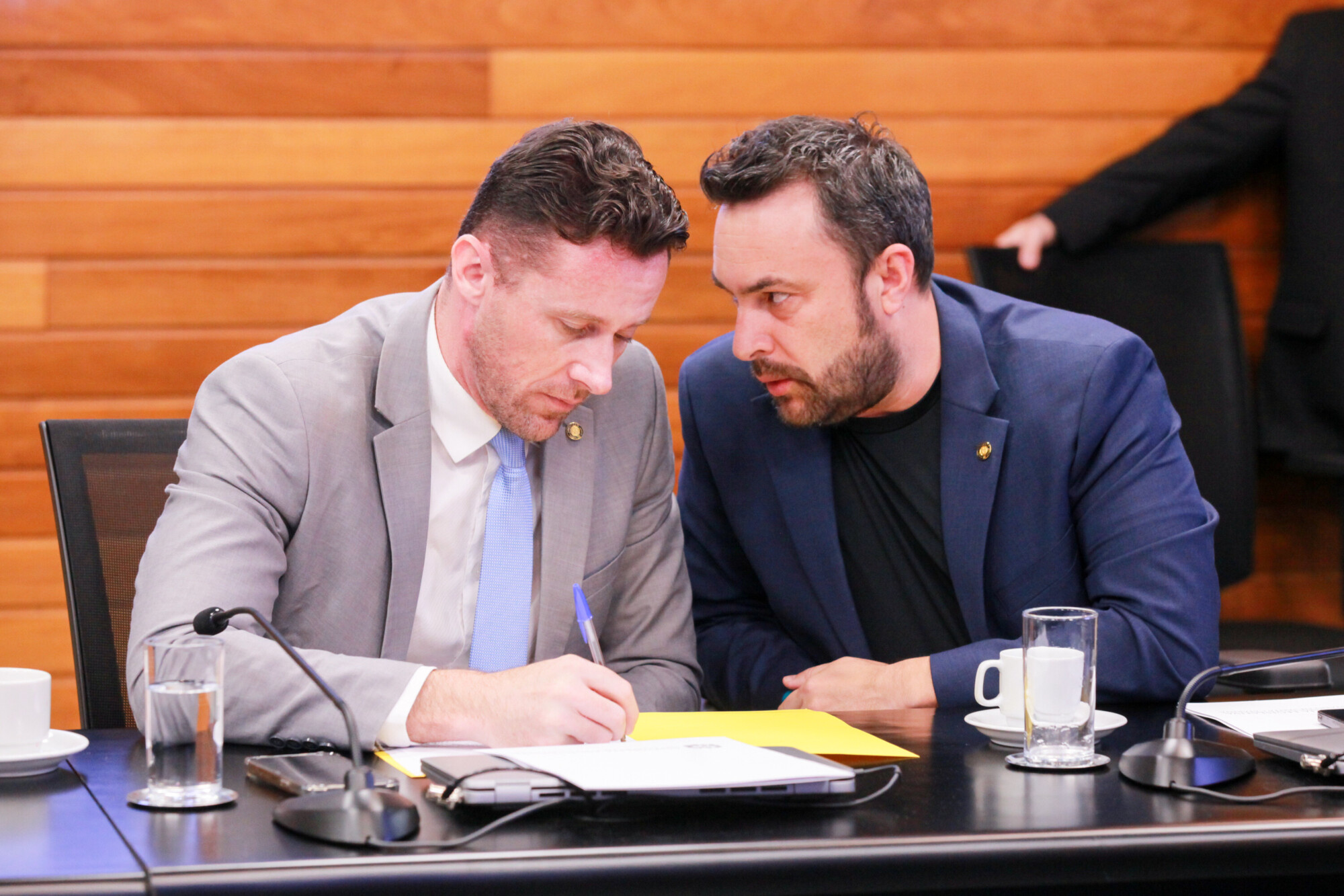 - Deputado Fernando Krelling (MDB) 	
 - Deputado Marcius Machado (PL)